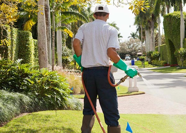 About Stone Park IL Pest Control